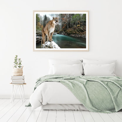 Puma on a Rock Near River Scenery Home Decor Premium Quality Poster Print Choose Your Sizes