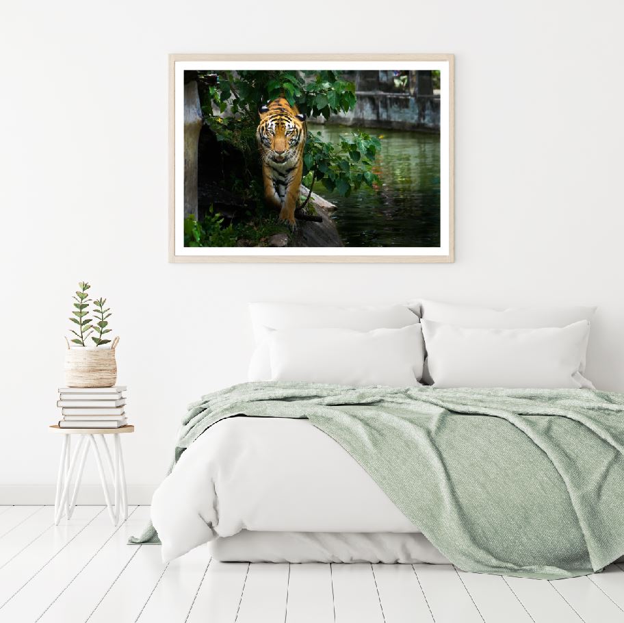 Tiger Walking Along River Scenery Home Decor Premium Quality Poster Print Choose Your Sizes
