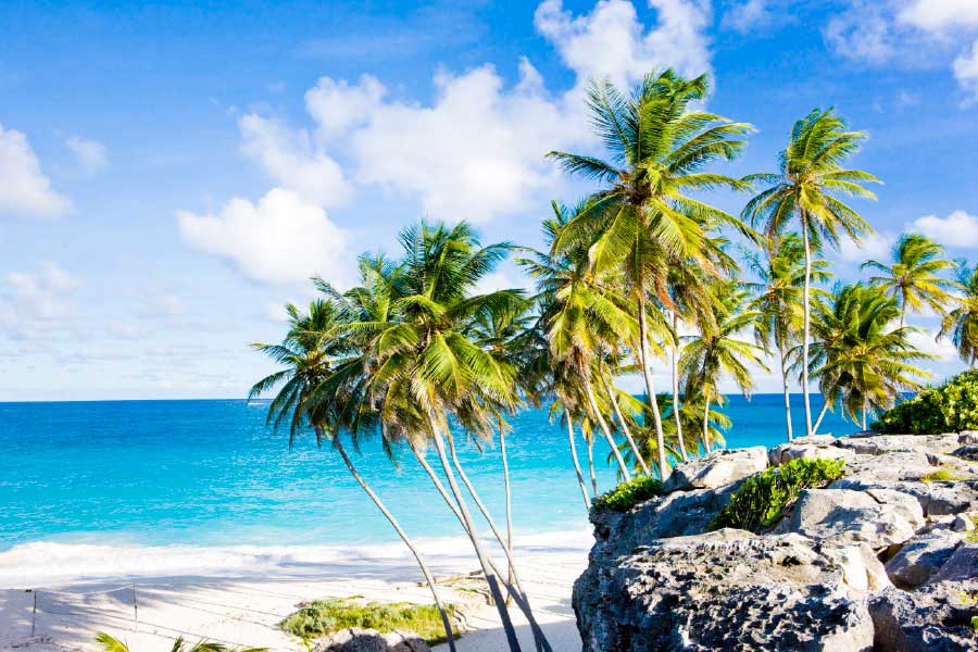 Bella Home Bottom Bay & Barbados Caribbean Print Canvas Ready to hang