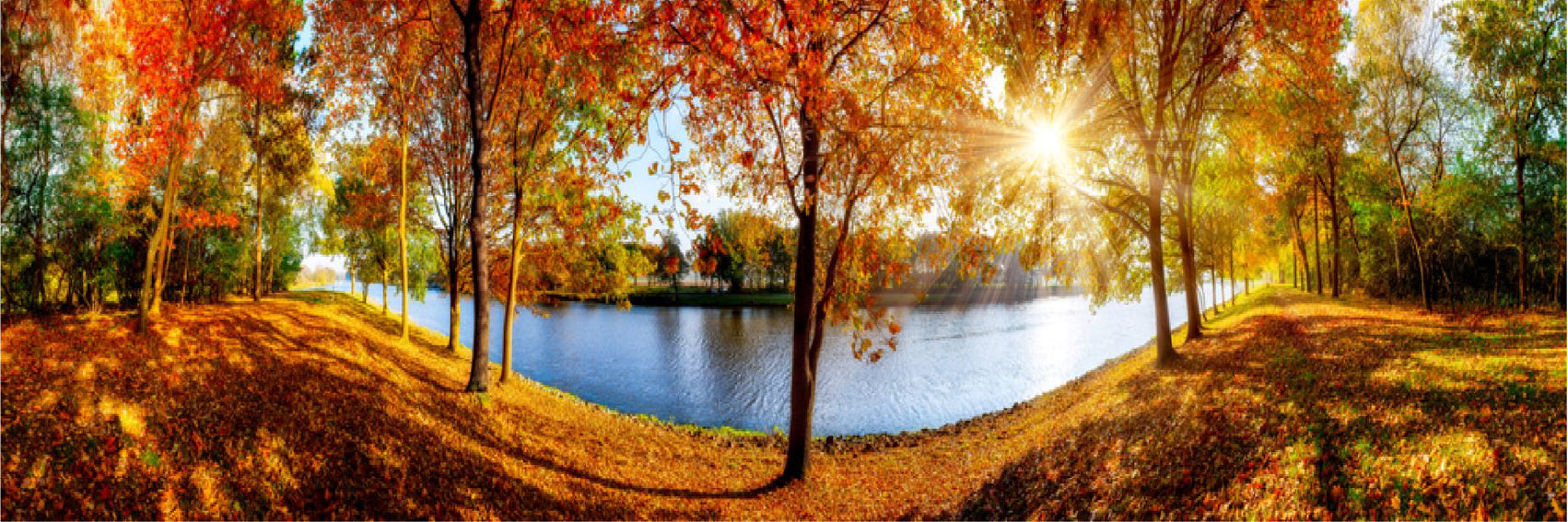 Panoramic Canvas Autumn Trees & Lake Photograph High Quality 100% Australian Made Wall Canvas Print Ready to Hang