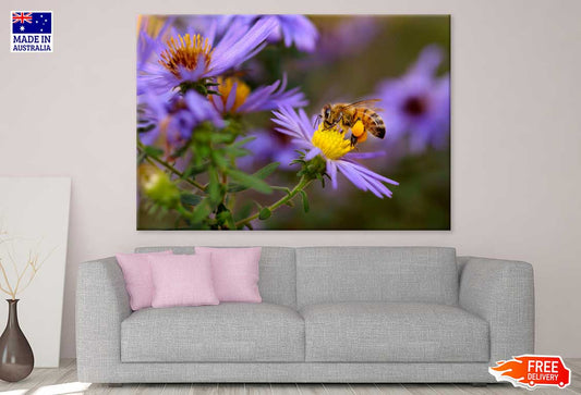 Bee on Purple Pollen Flower View Photograph Print 100% Australian Made