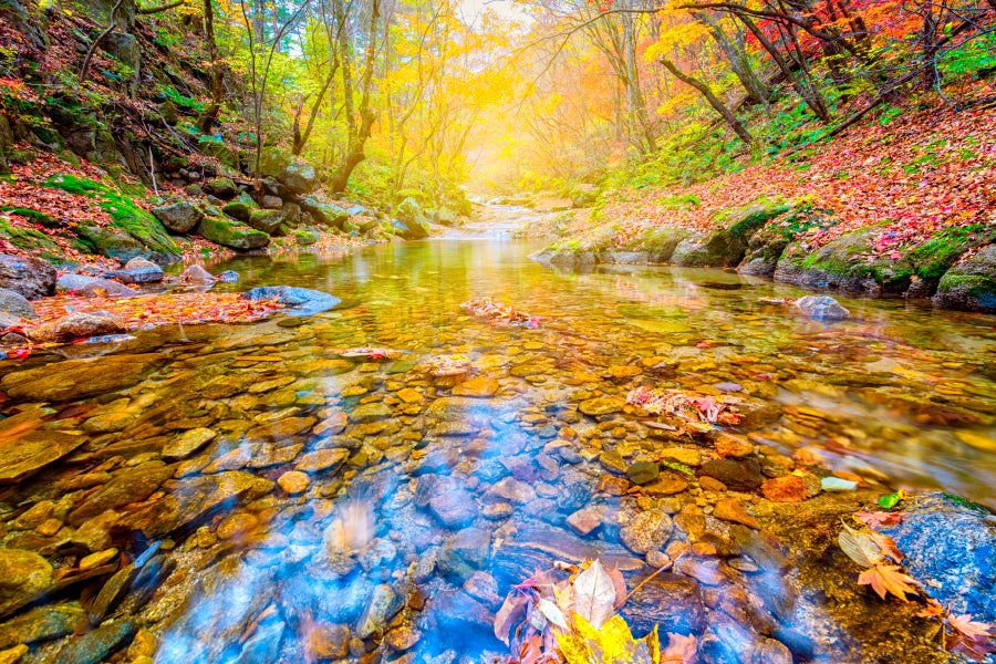 Bella Home Bangtaesan Mountain Autumn Print Canvas Ready to hang