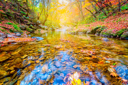 Bella Home Bangtaesan Mountain Autumn Print Canvas Ready to hang