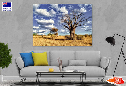 Dead Tree in Savanna Plains View Photograph Print 100% Australian Made