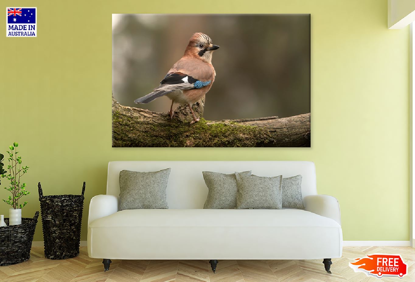 Eurasian Jay Bird Closeup View Photograph Print 100% Australian Made