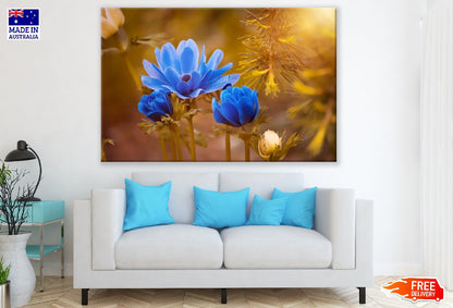 Blue Anemone Flower Golden Sunshine Photograph Print 100% Australian Made