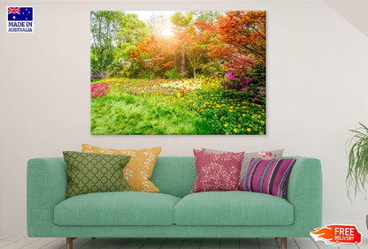 Autumn Flower Garden Sunset View Photograph Print 100% Australian Made
