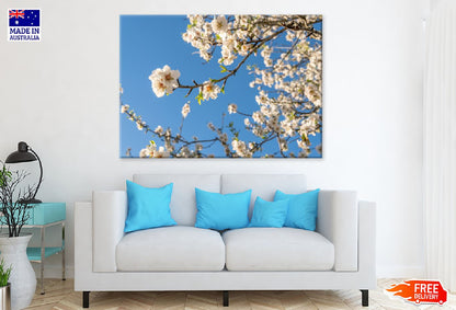 White Blossom Flowers & Sky View Photograph Print 100% Australian Made
