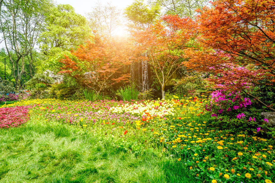 Autumn Flower Garden Sunset View Photograph Print 100% Australian Made
