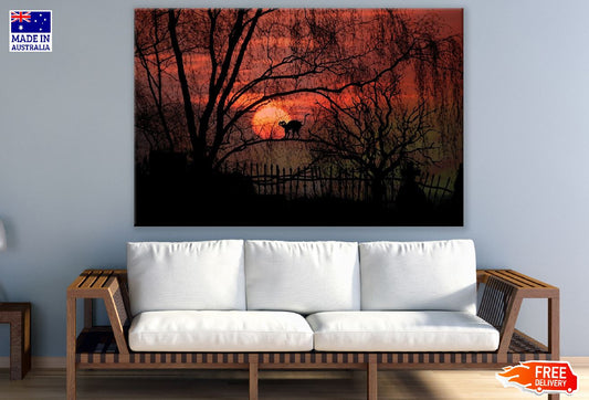 Nature Full Moon Night Scenery Photograph Print 100% Australian Made