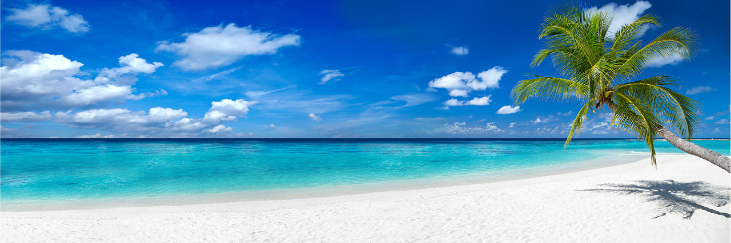 Panoramic Canvas White Sand Sea View Photograph High Quality 100% Australian Made Wall Canvas Print Ready to Hang