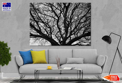 Leafless Tree Branches B&W View Photograph Print 100% Australian Made