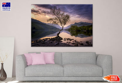 Alone Tree on Lake Sunset Scenery Photograph Print 100% Australian Made