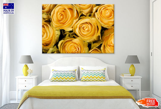 Yellow Roses Closeup View Photograph Print 100% Australian Made