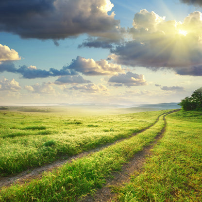 Square Canvas Grass Road Lane & Cloudy Sky View High Quality Print 100% Australian Made