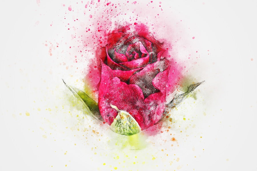 Rose Flower Abstract Design Print 100% Australian Made