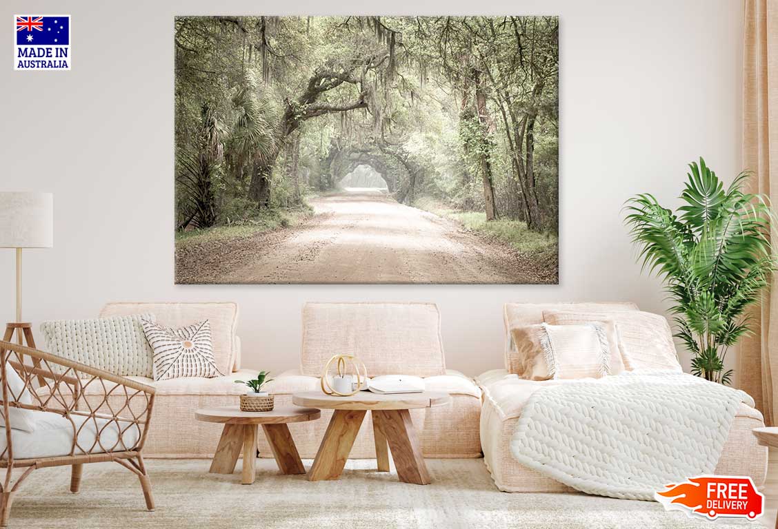 Charleston SC Dirt Road Forest View Photograph Print 100% Australian Made