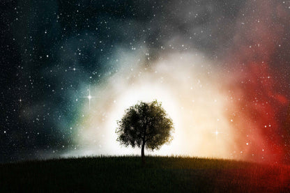 Alone Tree & Milky Way Sky View Photograph Home Decor Premium Quality Poster Print Choose Your Sizes