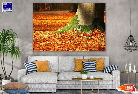 Maple Leaves Shedding Photograph Print 100% Australian Made