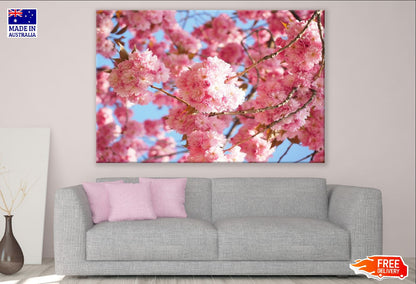 Cherry Blossom Flowers Closeup Photograph Print 100% Australian Made