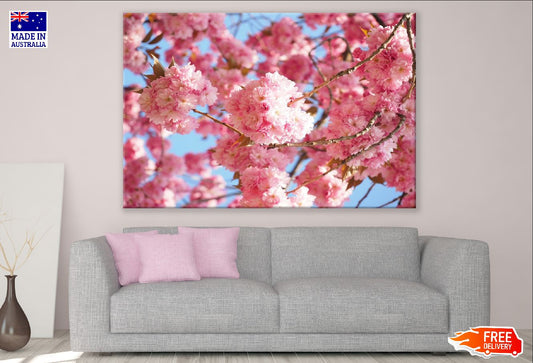 Cherry Blossom Flowers Closeup Photograph Print 100% Australian Made
