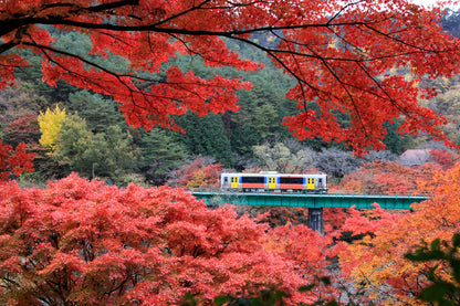 Yamatsuriyama Park View in Fukushima Home Decor Premium Quality Poster Print Choose Your Sizes