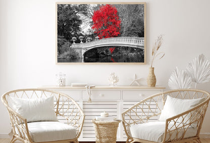 Red Autumn Tree with Bridge B&W Photograph Home Decor Premium Quality Poster Print Choose Your Sizes