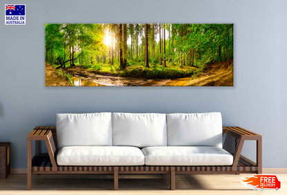 Panoramic Canvas Forest Tree Sunlight Scenery Photograph High Quality 100% Australian Made Wall Canvas Print Ready to Hang