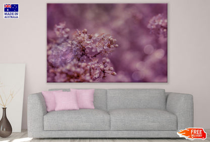 Pink Blossom Flowers Photograph Print 100% Australian Made