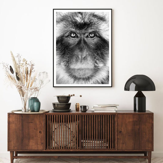 Monkey Portrait B&W Photograph Home Decor Premium Quality Poster Print Choose Your Sizes