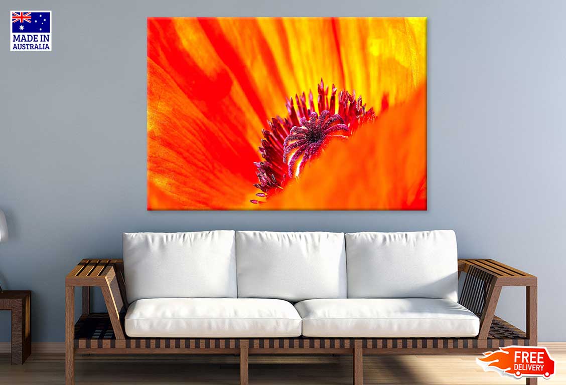 Poppy Flower Closeup View Photograph Print 100% Australian Made