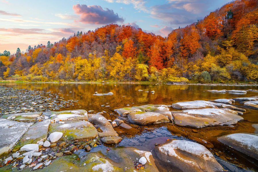 Stones on River & Autumn Forest View Photograph Home Decor Premium Quality Poster Print Choose Your Sizes