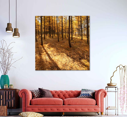 Square Canvas Autumn Trees & Leaves Scenery Photograph High Quality Print 100% Australian Made