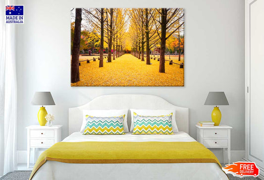 Yellow Autumn Trees & Garden Scenery Photograph Print 100% Australian Made