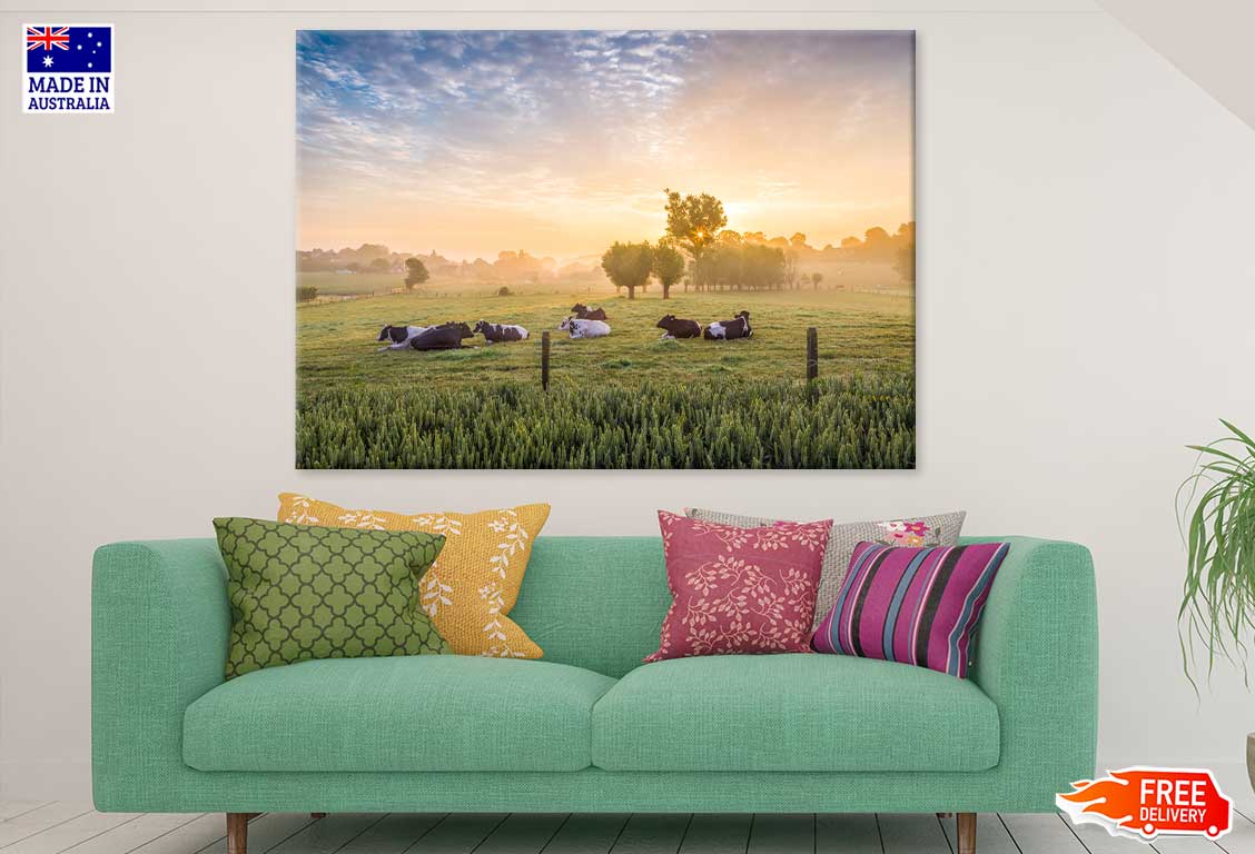 Cows in a Field View Photograph Print 100% Australian Made