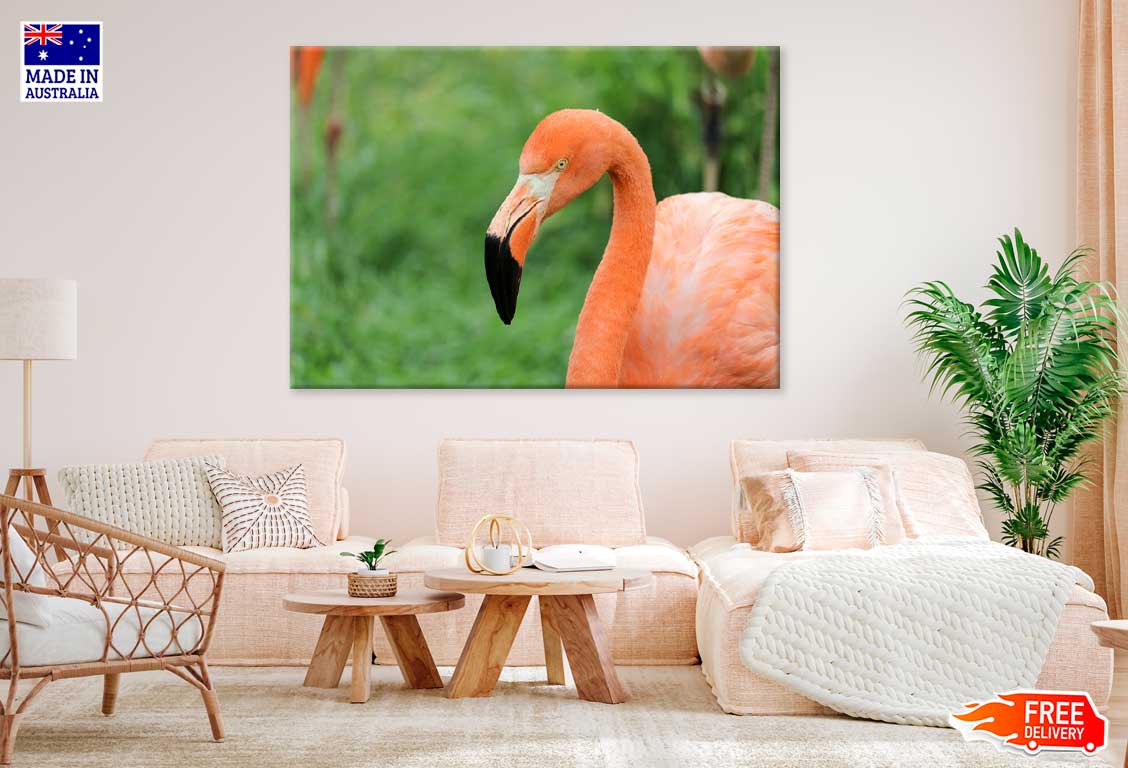 Flamingo Bird Face View Photograph Print 100% Australian Made