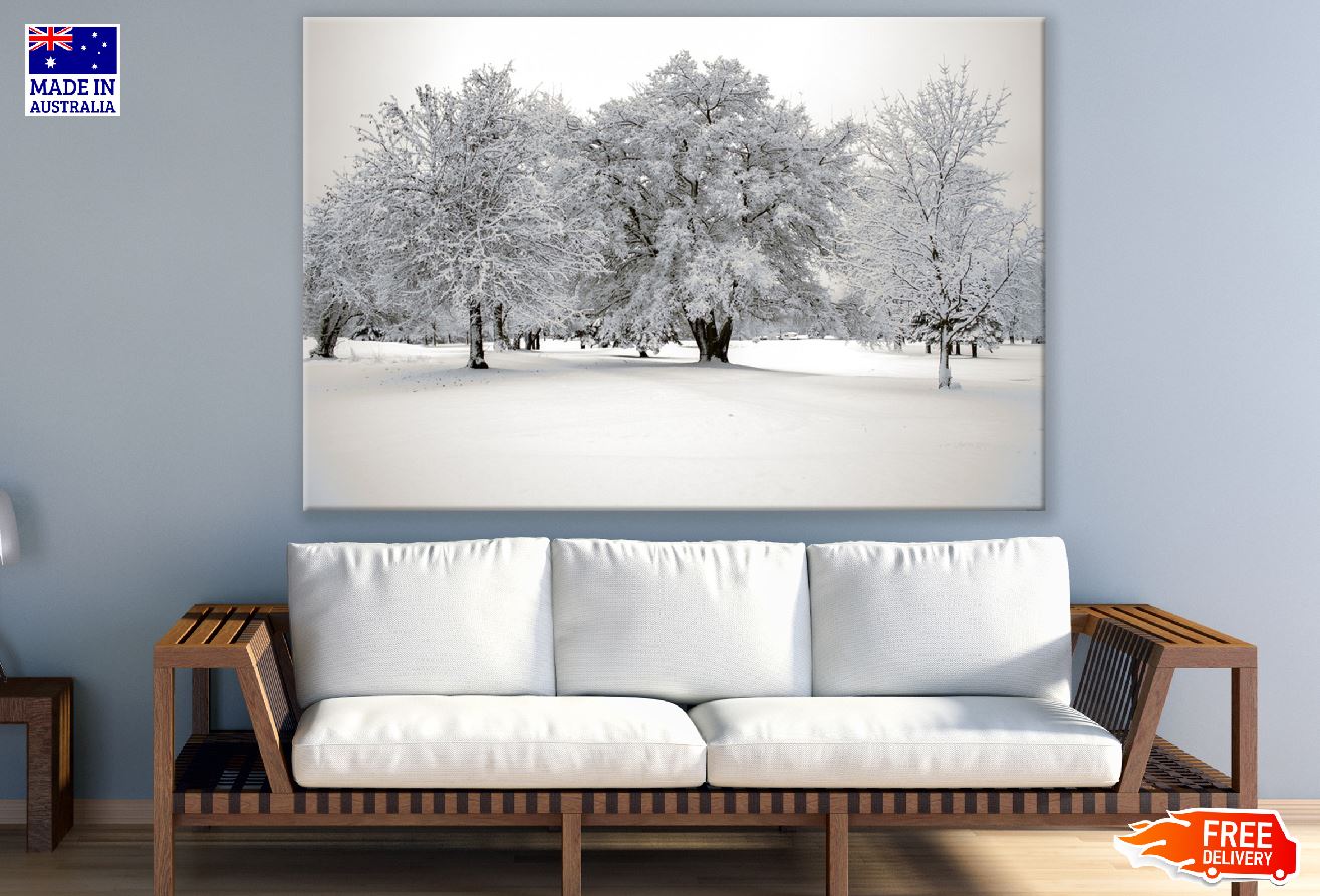 Snow Covered Trees on Snow Field Photograph Print 100% Australian Made