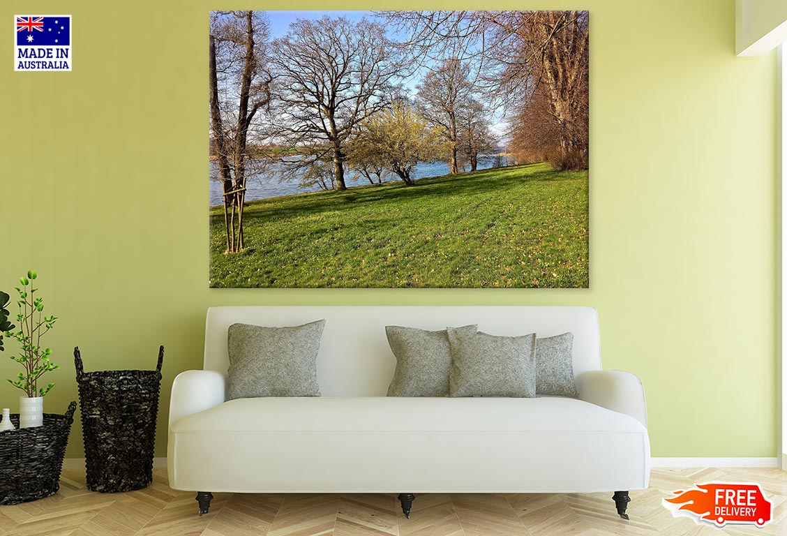 Trees Near River Photograph Print 100% Australian Made