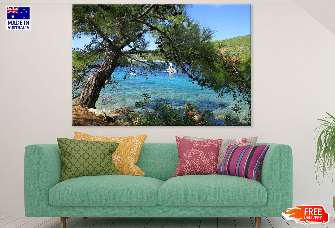 Tree Near Sea Photograph Print 100% Australian Made