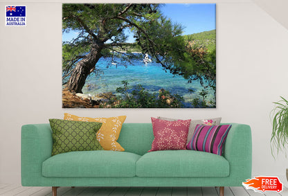 Tree Near Sea Photograph Print 100% Australian Made