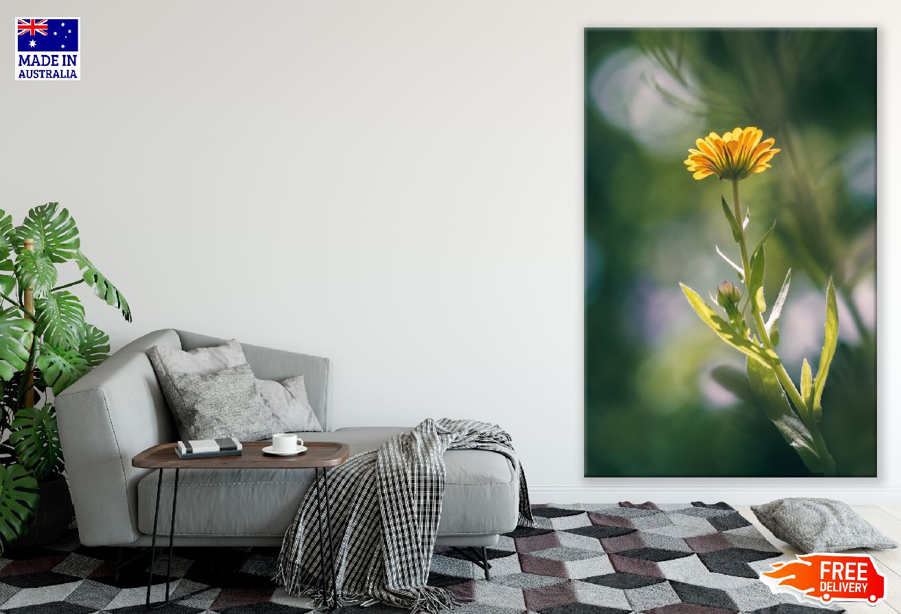 Marigold Flower Closeup Photograph Print 100% Australian Made