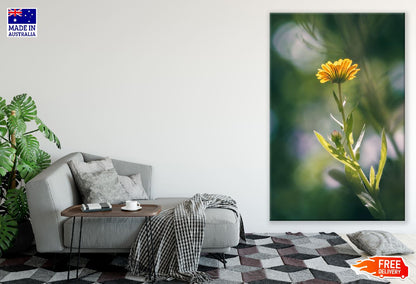 Marigold Flower Closeup Photograph Print 100% Australian Made