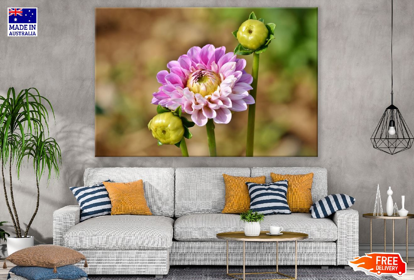 Pink Dahlia Flower with Plant Photograph Print 100% Australian Made