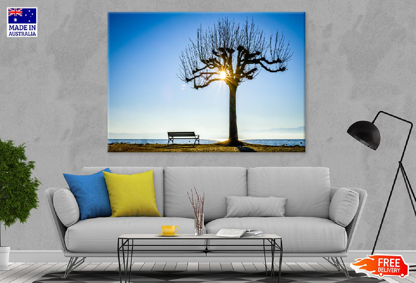 Bench with Old Dead Tree View Photograph Print 100% Australian Made