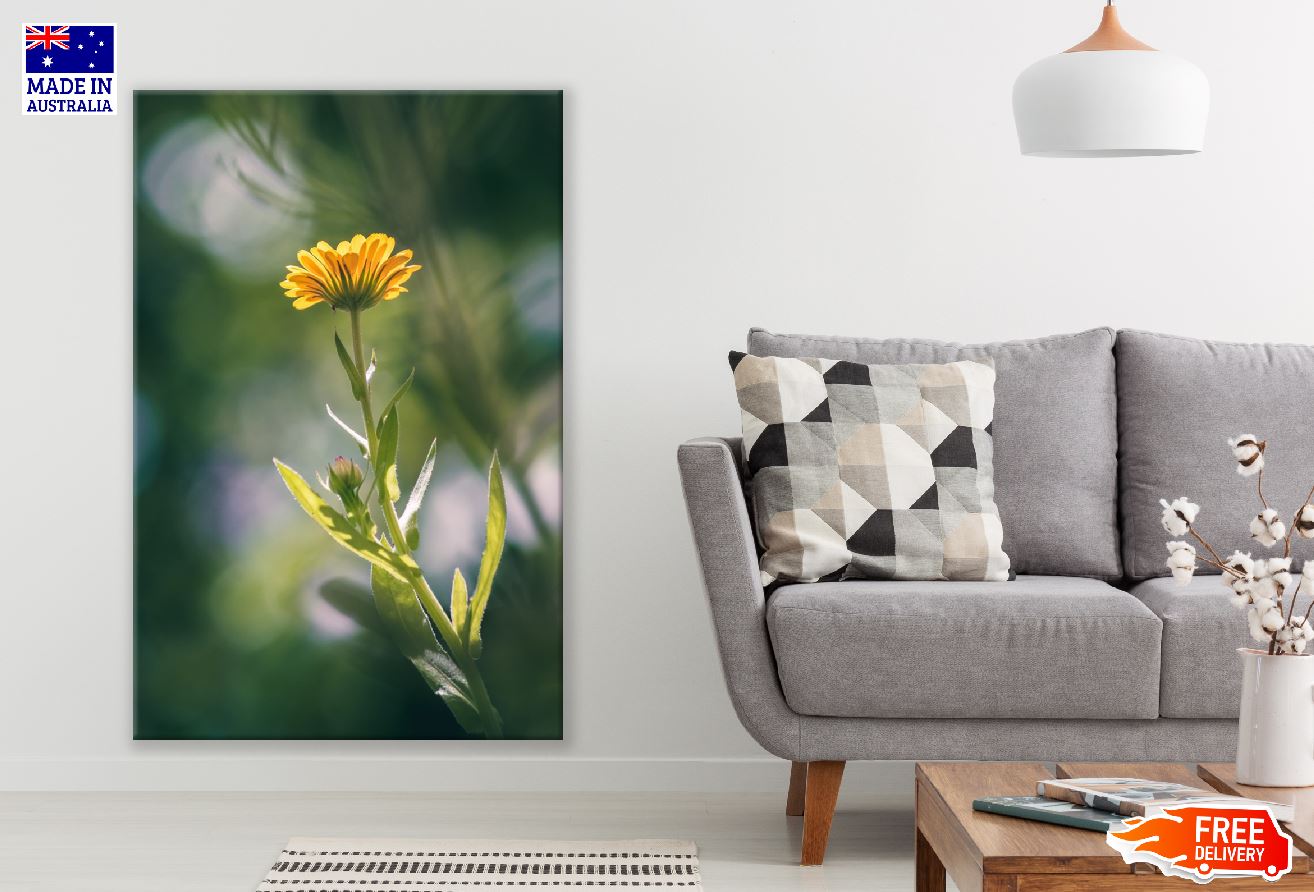 Marigold Flower Closeup Photograph Print 100% Australian Made