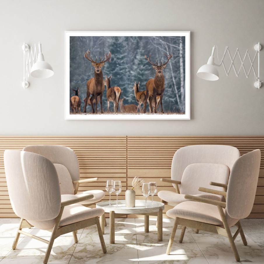 Deers in Forest Photograph Home Decor Premium Quality Poster Print Choose Your Sizes