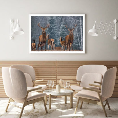 Deers in Forest Photograph Home Decor Premium Quality Poster Print Choose Your Sizes