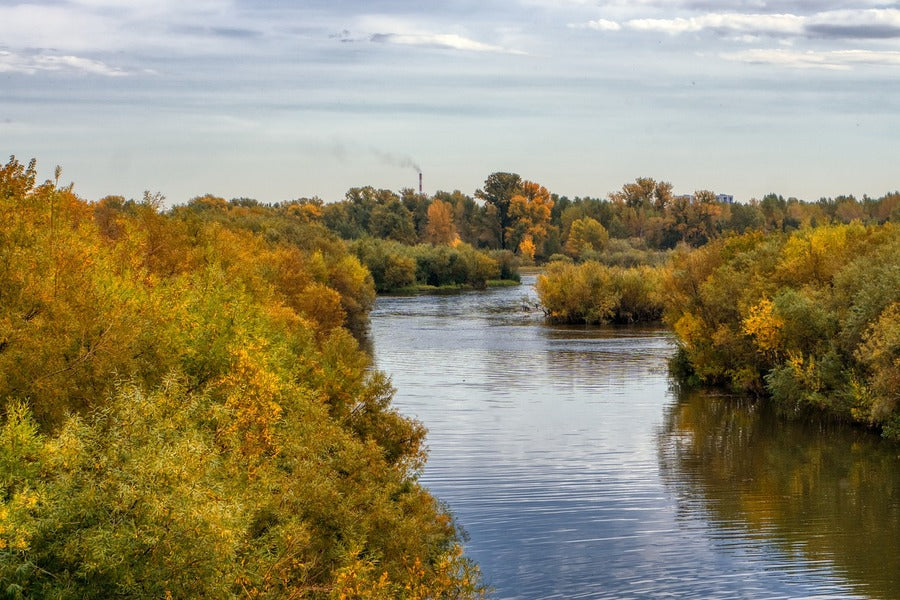 River Covered with Autumn Trees View Photograph Print 100% Australian Made