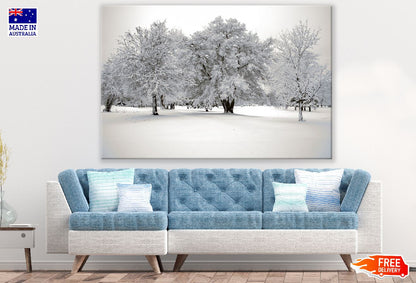 Snow Covered Trees on Snow Field Photograph Print 100% Australian Made