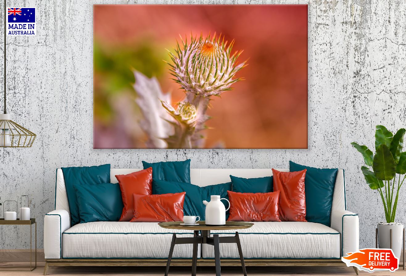 Thistle Flower Closeup Photograph Print 100% Australian Made